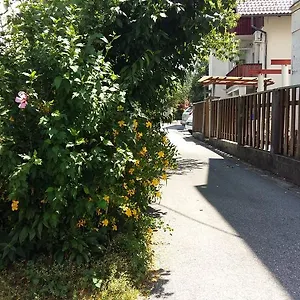 Sunflower Affittacamere